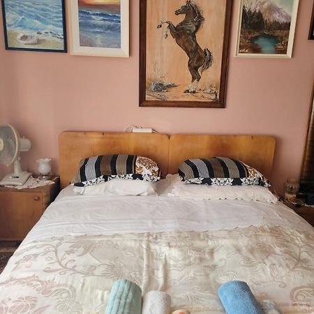 Apartment Madona Šibenik Eksteriør billede